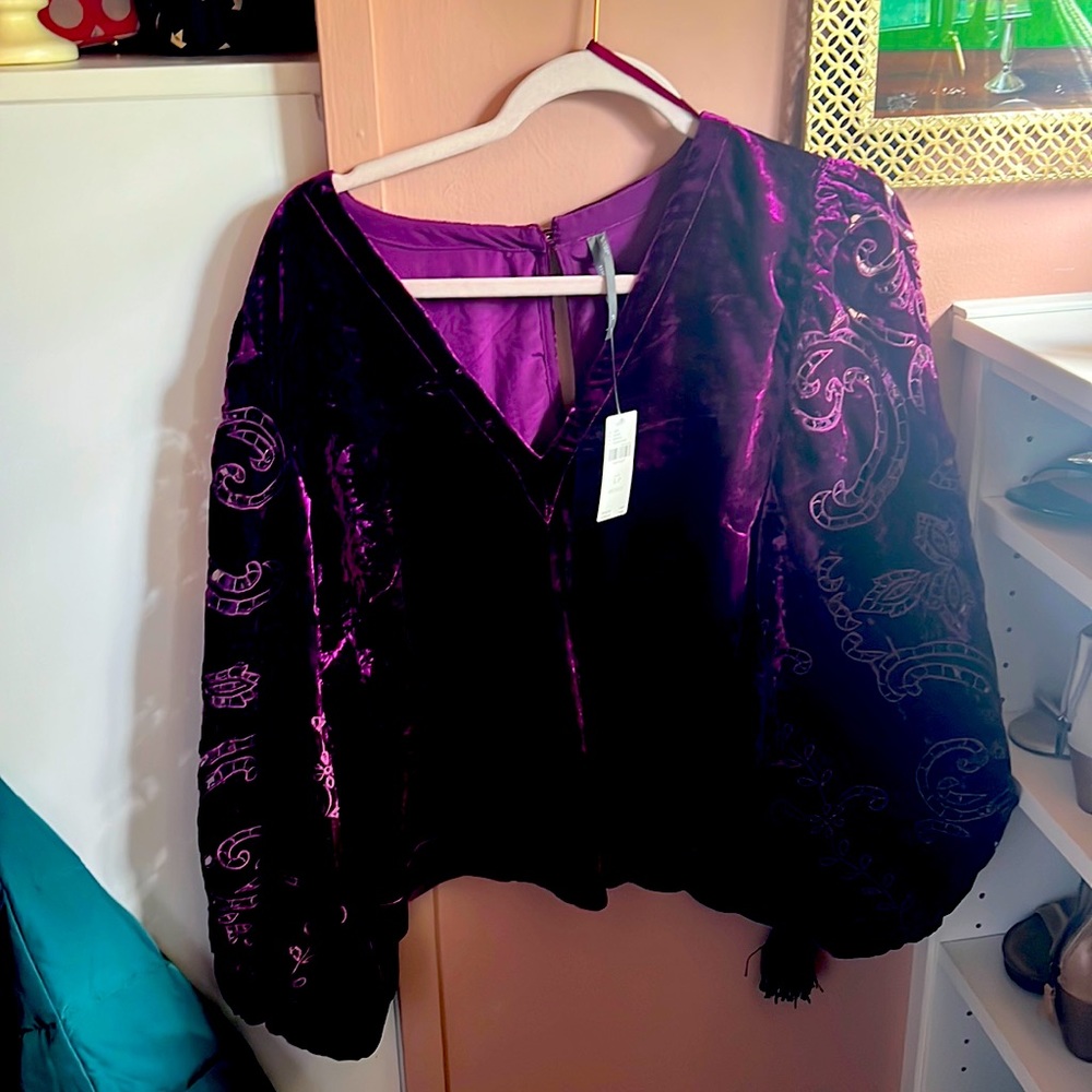 Anthropologie fall crushed velvet blouse new petite lg